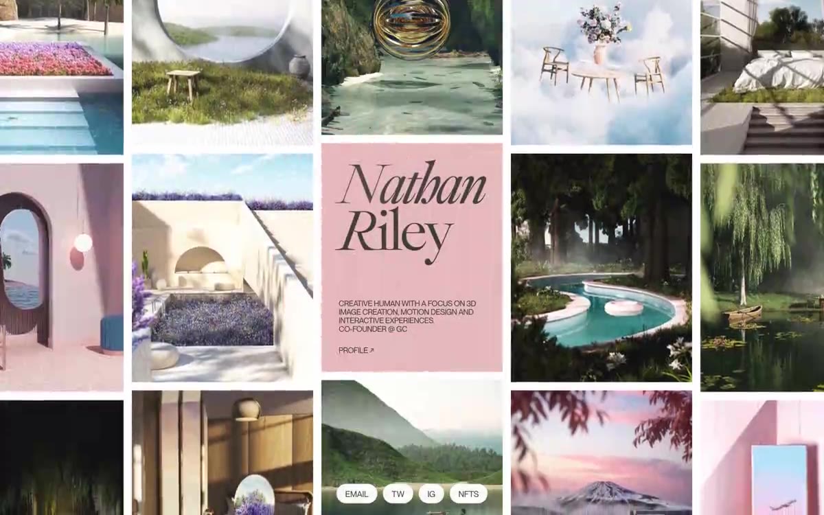 Nathan Riley 网站预览